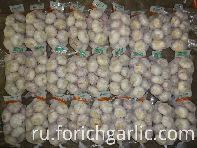 Good Quality Normal Garlic Jinxiang